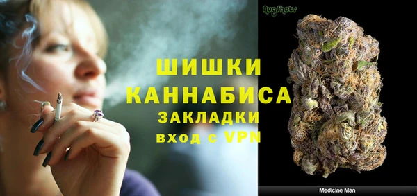 прущие грибы Бугульма