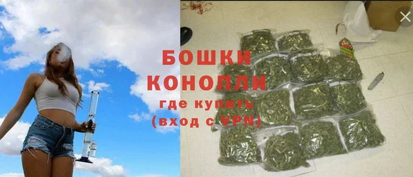 прущие грибы Бугульма