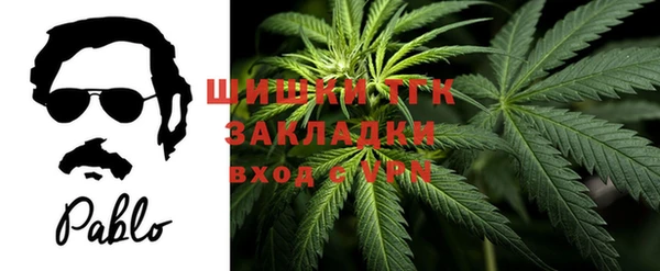 ГАЛЛЮЦИНОГЕННЫЕ ГРИБЫ Бородино