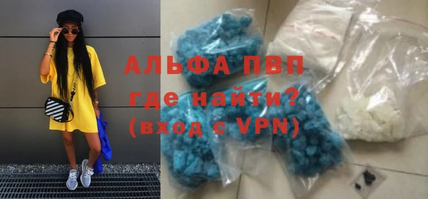 прущие грибы Бугульма