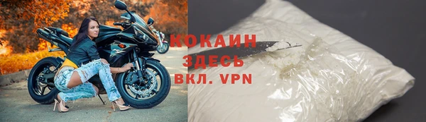 ГАЛЛЮЦИНОГЕННЫЕ ГРИБЫ Бородино