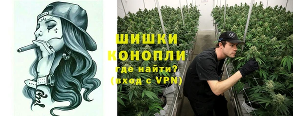 прущие грибы Бугульма