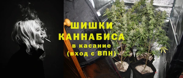 прущие грибы Бугульма